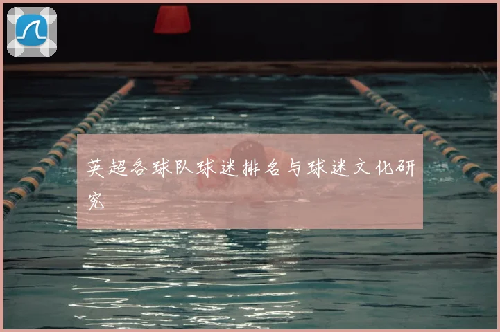 英超各球队球迷排名与球迷文化研究