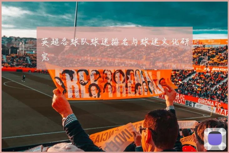 英超各球队球迷排名与球迷文化研究